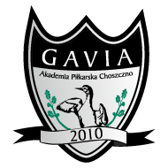 Gavia Choszczno